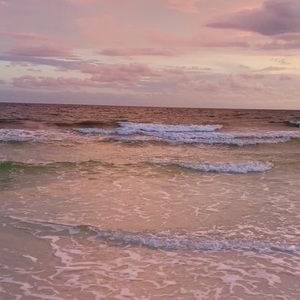 Meet your Posher, Anya